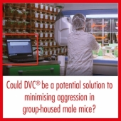 Le DVC® pourrait potentiellement réduire les comportements agressifs chez les souris mâles hébergées en groupe grâce au changement de cage repéré (à la demande)